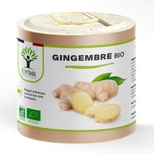 Gengibre Biológico em Cápsulas | Digestão, Energia & Mobilidade | 270 mg